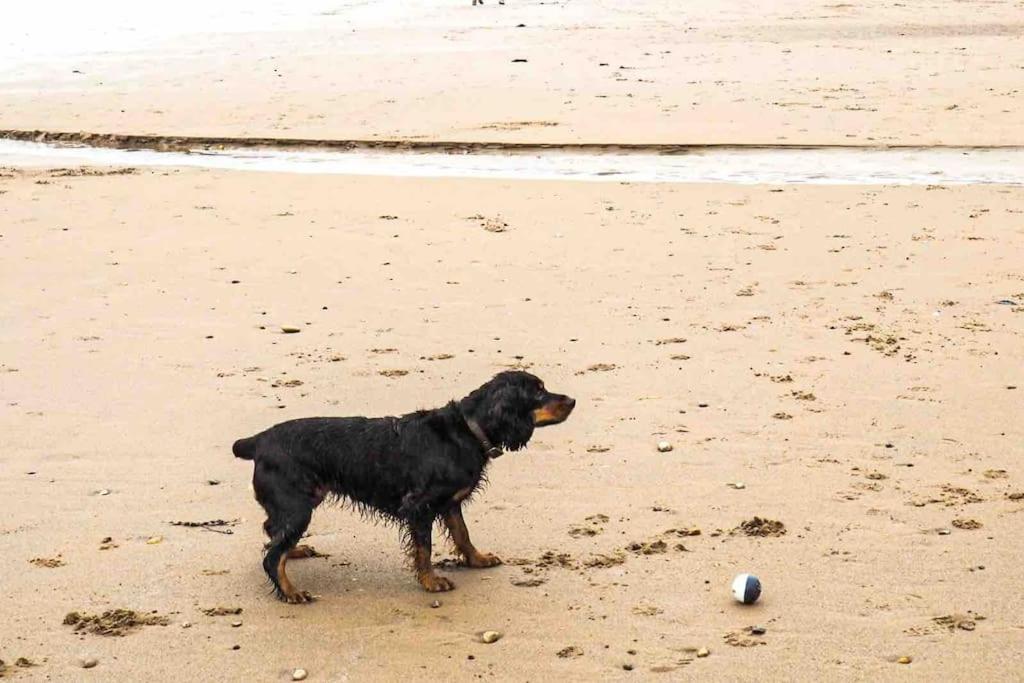 Large Cottage, Beach, Pubs Shops, Netflix, Bbq, Dog Friendly Hunmanby Eksteriør bilde